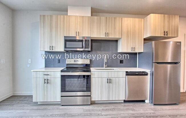 Studio, 1 bath, 360 sqft, $1,245, Unit ORYA1515-207