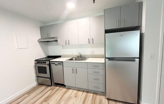 1 bed, 1 bath, 480 sqft, $1,495, Unit 303