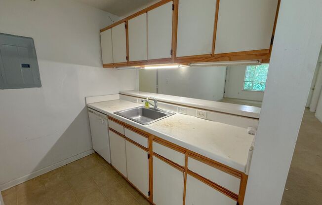 Top floor 4 bed 4 bath condo! On Wolfline, perfect for roommates!