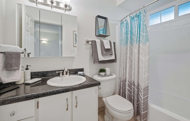 a bathroom with a shower toilet and sink and a mirror