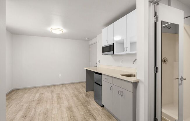 Studio, 1 bath, 228 sqft, $895