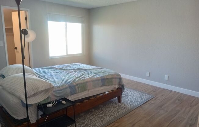 2 beds, 1 bath, $1,695