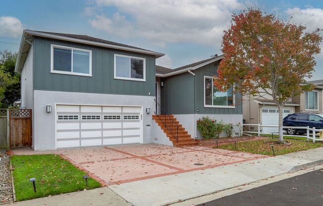 Extensively remodeled 4 Bed / 3 Bath home in South San Francisco. YouTube tour!