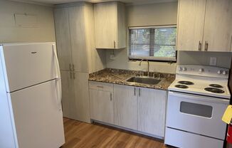 1 bed, 1 bath, $925