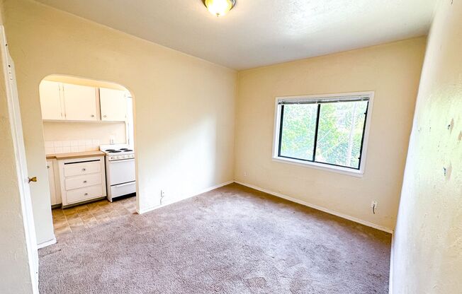 Studio, 1 bath, 400 sqft, $1,395, Unit 08