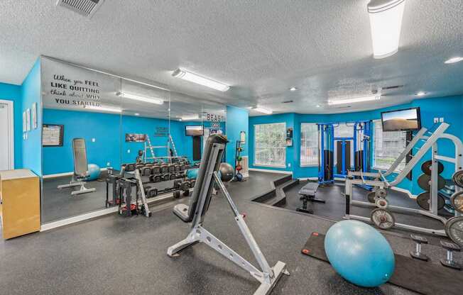 A gym with a blue wall and a variety of equipment.