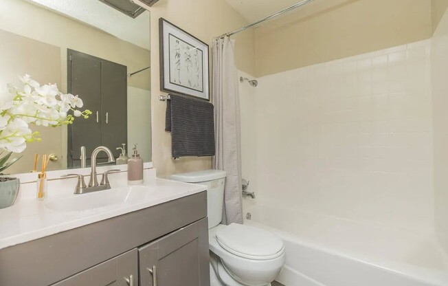 Step into elegance at The Riley, where modern design meets comfort. This stylish bathroom features sleek fixtures and a spacious layout, perfect for relaxation. Experience upscale living today—schedule your tour now!