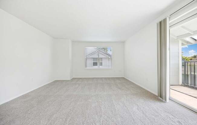 A large, empty room with a carpeted floor and a window with blinds.