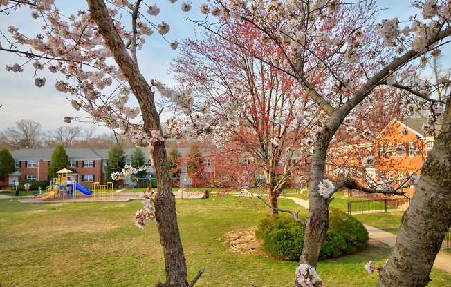 Kingsley Commons Townhouses Vista