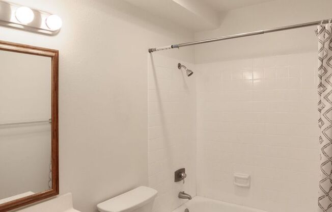 Studio, 1 bath, $1,695