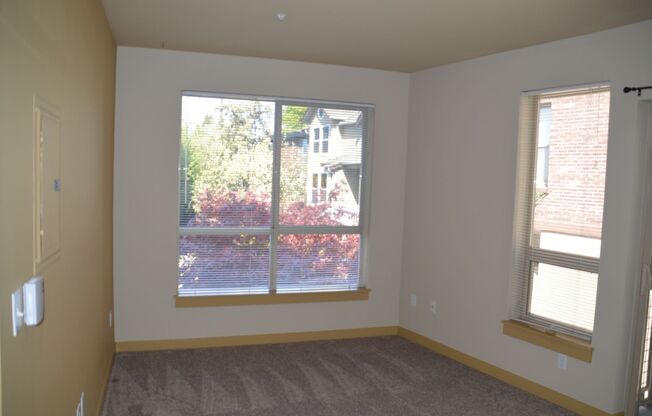 Amazing Capitol Hill Studio - GREAT DEAL!