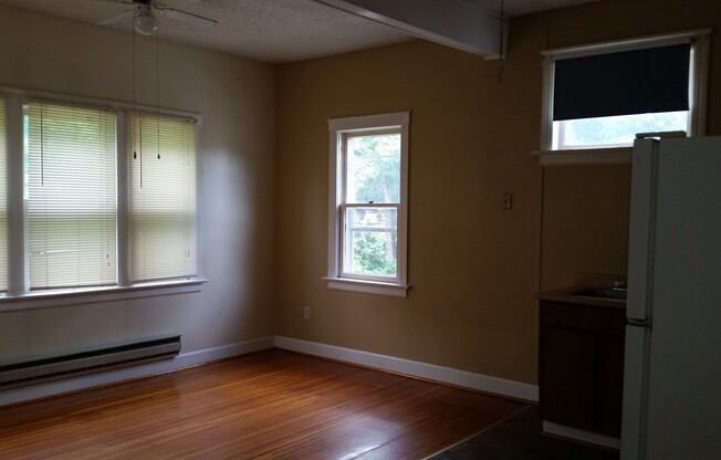 Studio, 1 bath, $750, Unit 93 Marsh St #4