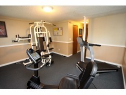 2 beds, 1 bath, 800 sqft, $1,295, Unit 02