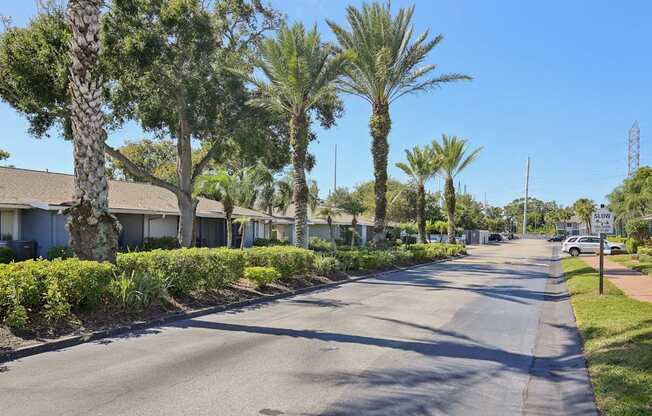 A street lined with palm trees and residential houses.