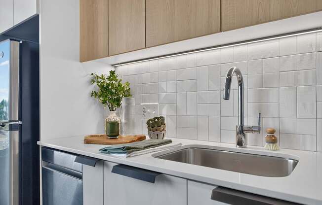 A kitchen with a white sink and a plant on the counter at The Indie in Allston.