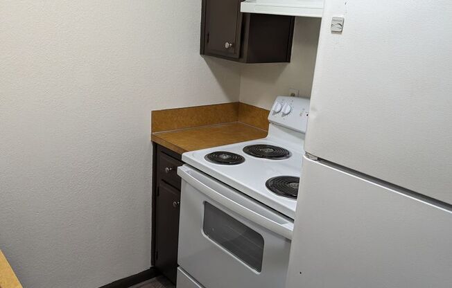 1 bed, 1 bath, $1,050, Unit Anita 3576