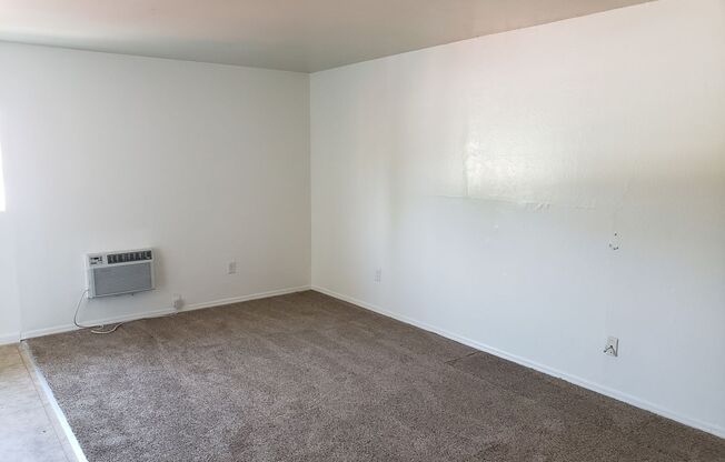 Studio, 1 bath, 380 sqft, $795, Unit 201