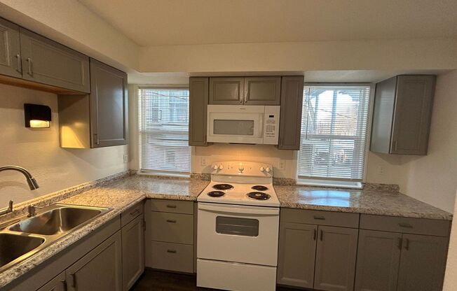 1 bed, 1 bath, 1,000 sqft, $995, Unit Unit A