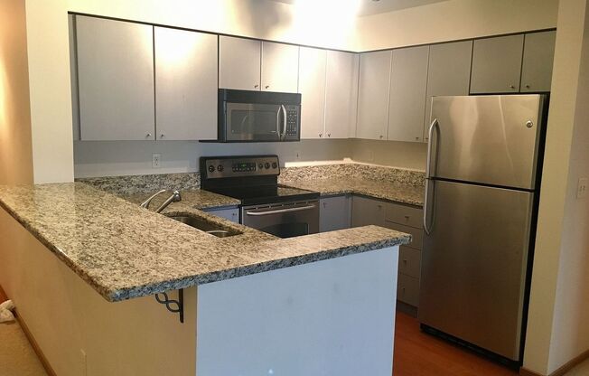 1125 E Olive Street, Apt 506