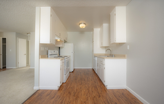 Oliva UNIT#24 kitchen (2)