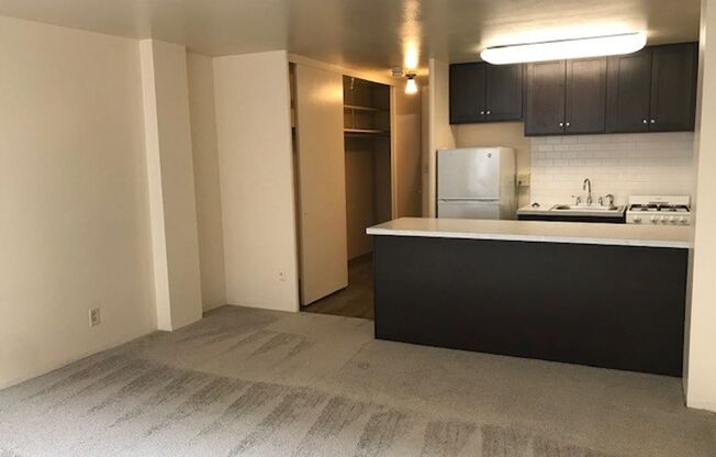 Studio, 1 bath, 375 sqft, $850, Unit 406