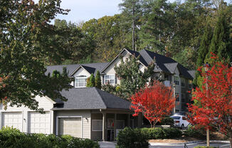 Beautiful Forest Setting at Powder Springs Apartments