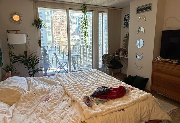 1 bed, 1 bath, 820 sqft, $2,378, Unit 1005