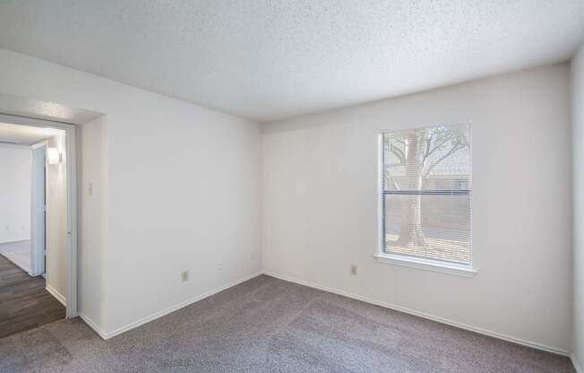 A room with a window and a carpeted floor.