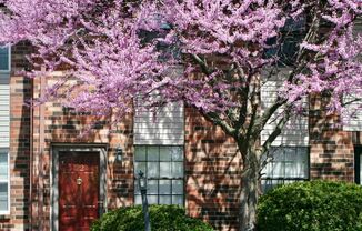 550 Darby Creek Road Unit 022