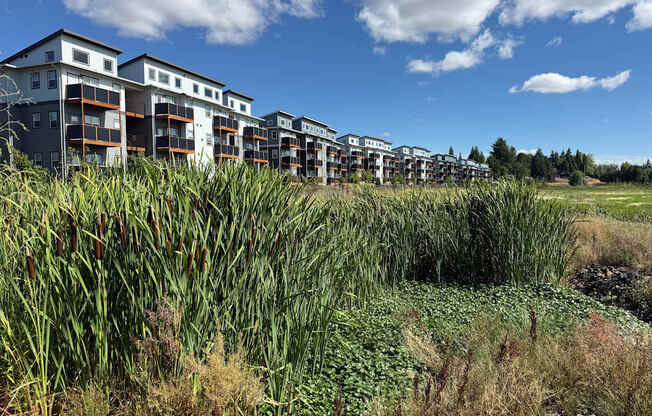 A row of modern apartments at Verda Crossing surrounded by greenery from Claggett Creek Park.