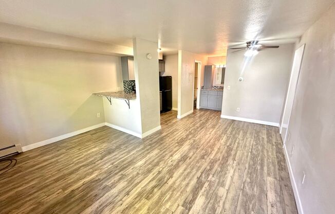 Studio, 1 bath, 365 sqft, $1,025