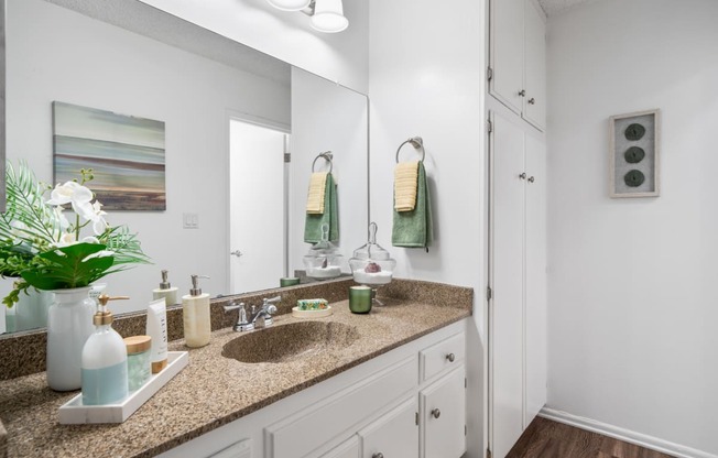 a bathroom with a sink and a mirror