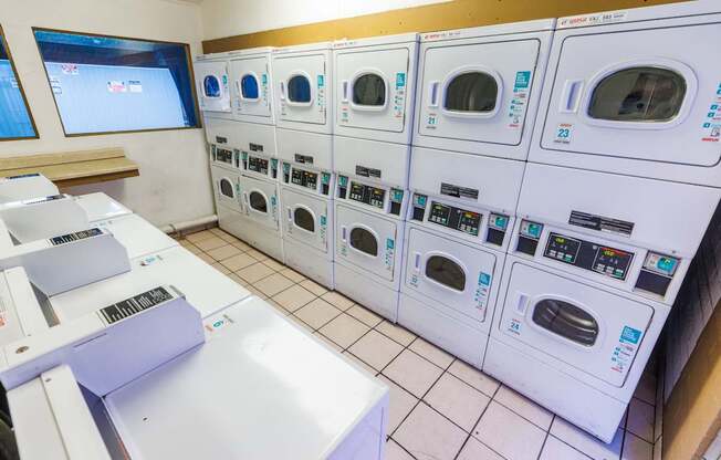 A row of washing machines are lined up in a laundromat.