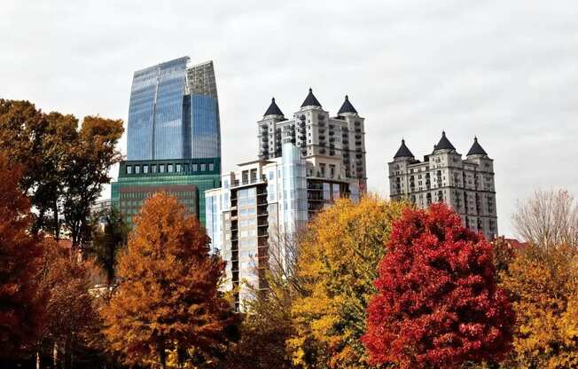 Fall Colors in Midtown Atlanta
