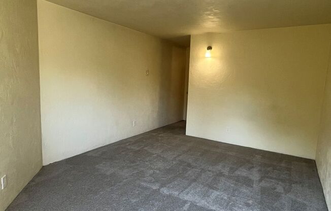 1 bed, 1 bath, 700 sqft, $1,445, Unit 0207