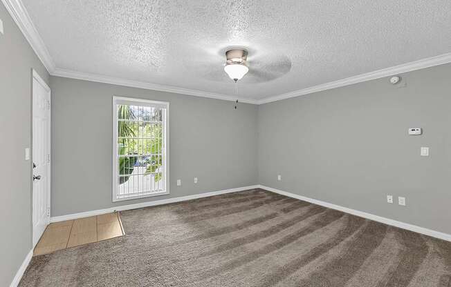 A room with a carpeted floor and a window showing a patio.