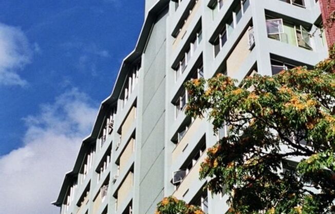 Remodeled 2 bedroom high rise