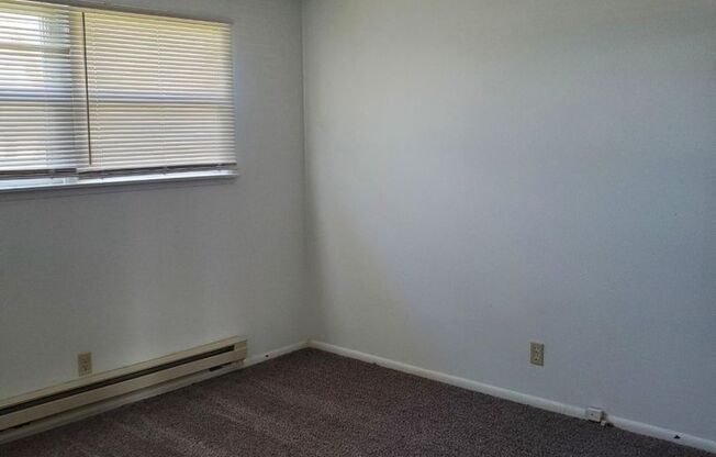 3 beds, 1 bath, $1,595