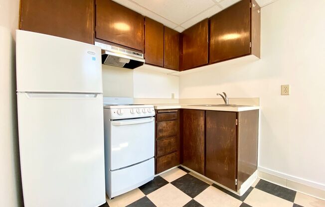 1 bed, 1 bath, 335 sqft, $1,495, Unit 501