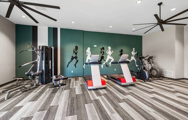 Modern fitness center