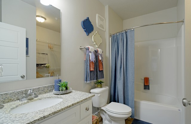 Master bathroom with sink vanity, toilet, tub/shower combo, and walk-in closet entrance