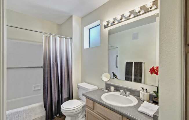 a bathroom with a shower toilet and sink