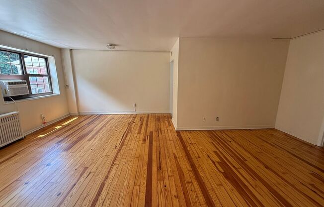 Studio, 1 bath, 487 sqft, $1,250, Unit Fifth 206