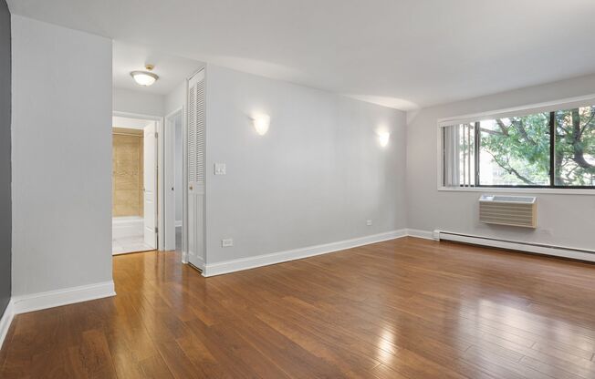 1 bed, 1 bath, 578 sqft, $1,875, Unit 302