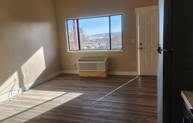 Studio, 1 bath, $1,100, Unit 207