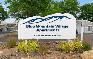 Blue Mountain Village - Great Views and a Great Community