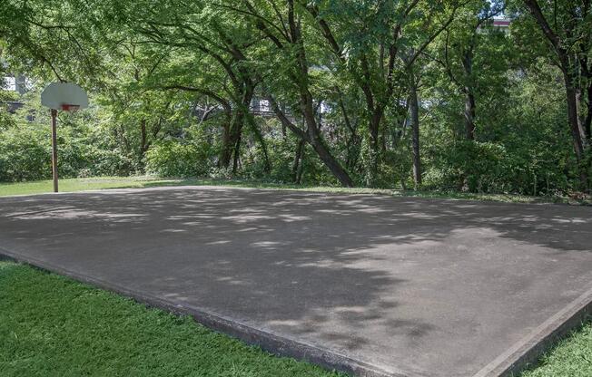 a basketball court in a park with trees