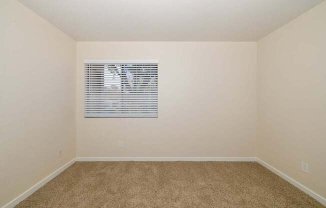 A room with a carpeted floor and a window with blinds.