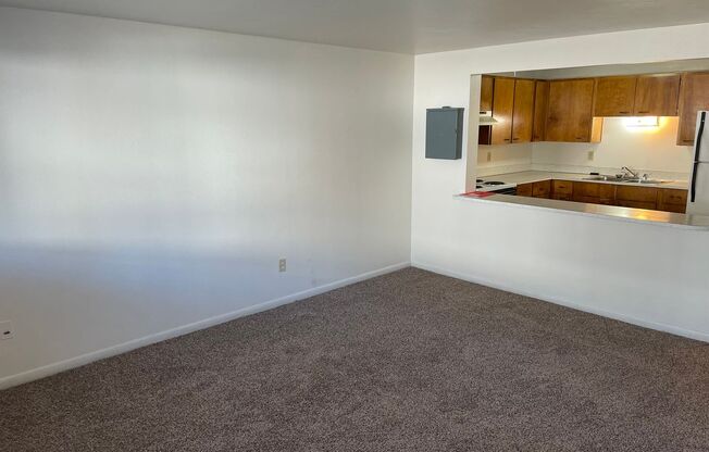 1 bed, 1 bath, 700 sqft, $1,250, Unit 3-4