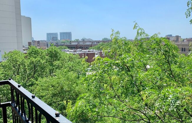 Studio, 1 bath, 300 sqft, $1,695, Unit 530-606